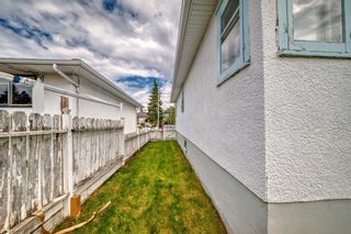 Photo 35: 2627 33 Street SW in Calgary: Killarney/Glengarry Detached for sale : MLS®# A2142929