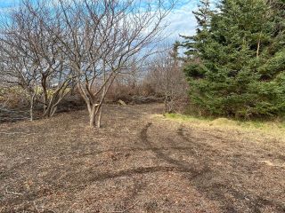 Photo 20: Lot Highway 101 in Plympton: Digby County Vacant Land for sale (Annapolis Valley)  : MLS®# 202322705