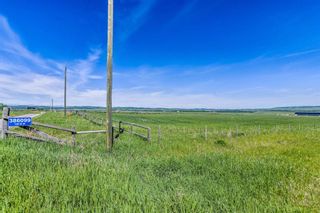 Photo 33: 386099 128 Street W: Rural Foothills County Detached for sale : MLS®# A1122418