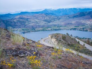 Photo 7: 1345 HWY 3, in Osoyoos: House for sale : MLS®# 199100