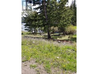 Photo 8: Legal SCUITTO LAKE in Kamloops: Vacant Land for sale : MLS®# 176532