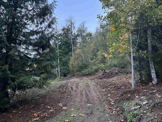 Photo 8: 48875 ELK VIEW ROAD in Chilliwack: Vacant Land for sale : MLS®# R2875218