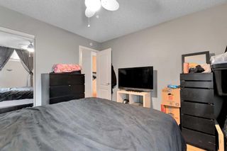 Photo 13: 303 1129 Cameron Avenue SW in Calgary: Lower Mount Royal Apartment for sale : MLS®# A2123648
