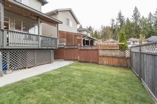 Photo 34: 10081 243A Street in Maple Ridge: Albion House for sale : MLS®# R2672536