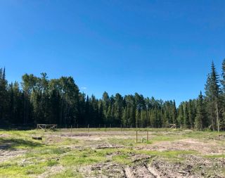 Photo 3: LOT B GRASSLAND Road in Prince George: Shelley Land for sale in "Shelley" (PG Rural East (Zone 80))  : MLS®# R2577856