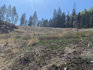 Photo 3: Lot 16 - 6200 COLUMBIA LAKE ROAD in Fairmont Hot Springs: Vacant Land for sale : MLS®# 2470462
