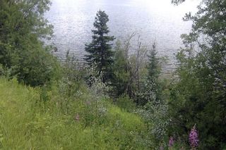 Photo 22: LOT 21 BRAYANSTON Drive in Smithers: South Francois Land for sale (Burns Lake)  : MLS®# R2710049
