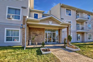 Photo 2: 309 5555 Falsbridge Drive NE in Calgary: Falconridge Apartment for sale : MLS®# A2093648