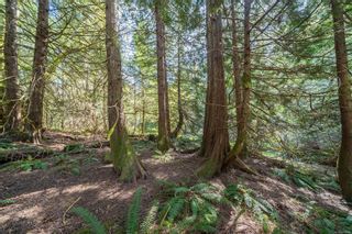 Photo 40: 405 Kenwood Rd in Thetis Island: Isl Thetis Island House for sale (Islands)  : MLS®# 900001