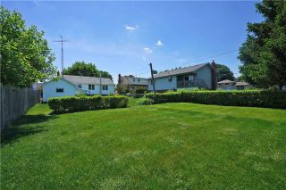 Photo 8: 120 W Beatrice Street in Oshawa: Centennial House (Bungalow) for sale : MLS®# E3511968