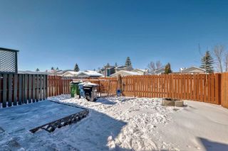Photo 35: 76 Martinbrook Road NE in Calgary: Martindale Detached for sale : MLS®# A2119222