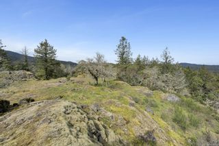 Photo 28: 140 Petworth Dr in Saanich: SW Prospect Lake Land for sale (Saanich West)  : MLS®# 960128