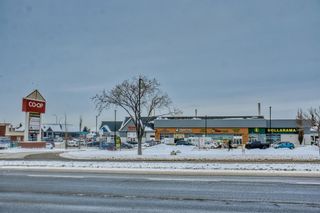 Photo 50: 88 Falmere Way NE in Calgary: Falconridge Detached for sale : MLS®# A2022162