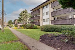 Photo 28: 315 964 Heywood Ave in Victoria: Vi Fairfield West Condo for sale : MLS®# 894229