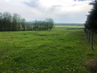 Photo 11: 432018 Range Road 51: Rural Ponoka County Agriculture for sale : MLS®# A1193536