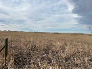 Photo 2: 121028 272 Avenue E: Rural Foothills County Residential Land for sale : MLS®# A2119936