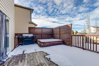 Photo 28: 18 Morningside Landing SW: Airdrie Detached for sale : MLS®# A2109366