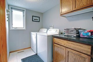Photo 18: 87 Sunmount Road SE in Calgary: Sundance Detached for sale : MLS®# A1236297