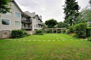 Photo 19: 112 3770 MANOR STREET in Burnaby: Central BN Condo for sale (Burnaby North)  : MLS®# R2094067