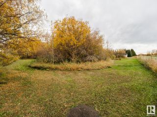 Photo 44: 55412 RGE RD 245: Rural Sturgeon County House for sale : MLS®# E4317445