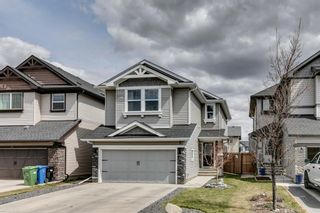 Photo 2: 95 Brightoncrest Point SE in Calgary: New Brighton Detached for sale : MLS®# A1214887