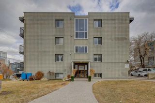 Main Photo: 14 2104 17 Street SW in Calgary: Bankview Apartment for sale : MLS®# A2118561