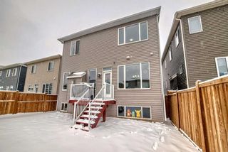 Photo 37: 91 Carrington Crescent NW in Calgary: Carrington Detached for sale : MLS®# A2120686