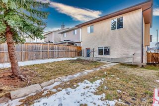 Photo 28: 6 Bridlecrest Boulevard SW in Calgary: Bridlewood Detached for sale : MLS®# A2114462