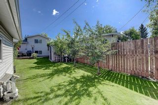 Photo 28: 1456 LAKE MICHIGAN CR SE in Calgary: Bonavista Downs House for sale : MLS®# C4260817