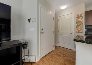 Photo 6: 4 305 Village Mews SW in Calgary: Patterson Apartment for sale : MLS®# A2081034