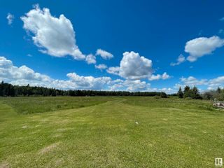 Photo 9: RR 20: Rural Wetaskiwin County Vacant Lot/Land for sale : MLS®# E4323369