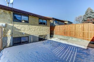 Photo 37: 258 Maunsell Close NE in Calgary: Mayland Heights Semi Detached for sale : MLS®# A1061854