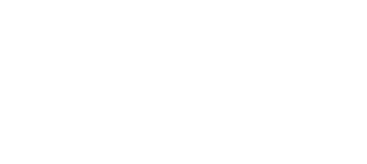 Yvette Nesry Logo