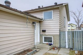Photo 28: 144 Whitmire Road NE in Calgary: Whitehorn Detached for sale : MLS®# A2143004