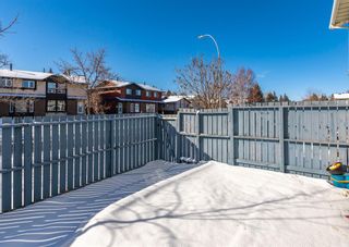 Photo 35: 11 Bermuda Lane NW in Calgary: Beddington Heights Row/Townhouse for sale : MLS®# A2030428