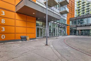 Photo 3: 1505 3830 Brentwood Road NW in Calgary: Brentwood Apartment for sale : MLS®# A2116302