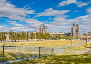 Photo 27: 208 816 89 Avenue SW in Calgary: Haysboro Apartment for sale : MLS®# A2013027