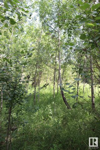 Photo 18: Northbrook Block 3 Lot 13: Rural Thorhild County Vacant Lot/Land for sale : MLS®# E4352498