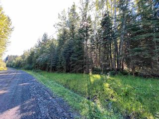 Photo 28: LOT 3 CAVE Road in Williams Lake: Horsefly Land for sale : MLS®# R2719437