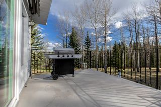 Photo 16: 23 Williams Place: Bragg Creek Detached for sale : MLS®# A1215678