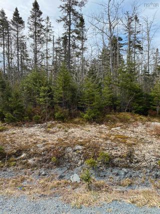 Photo 4: Lot 109 337 Toni Drive in Boutiliers Point: 40-Timberlea, Prospect, St. Marg Vacant Land for sale (Halifax-Dartmouth)  : MLS®# 202406861