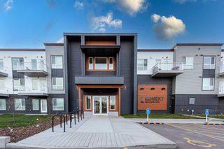Main Photo: 235 1605 17 Street SE in Calgary: Inglewood Apartment for sale : MLS®# A2095481