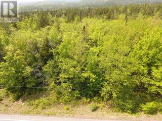 Photo 16: Lot 21-4 Highway 3 in East River: Vacant Land for sale : MLS®# 202325672