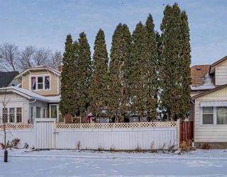 Photo 6: 833 College Avenue in Winnipeg: Vacant Land for sale : MLS®# 202331916