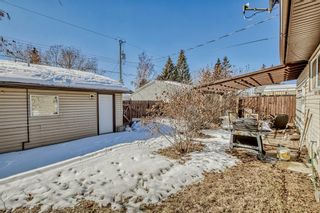 Photo 32: 2839 Cedar Ridge Drive SW in Calgary: Cedarbrae Detached for sale : MLS®# A2034681