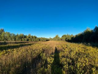 Photo 12: BLOCK D DL7872 TAKLA FOREST Road in Prince George: Reid Lake Land for sale in "McPhee Road" (PG Rural North)  : MLS®# R2768066