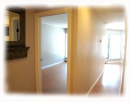 Photo 7: Photos: 210 8451 WESTMINSTER Highway in Richmond: Brighouse Condo for sale in "ARBORETUM" : MLS®# V805173