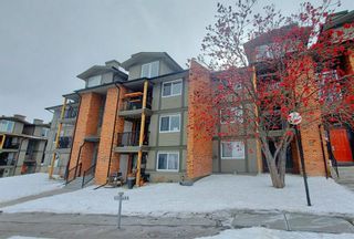 Photo 3: 524 6400 Coach Hill Road SW in Calgary: Coach Hill Apartment for sale : MLS®# A1191968