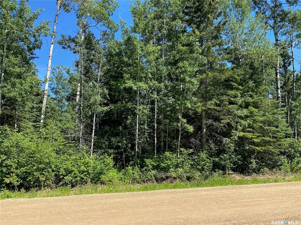 Main Photo: 3 Frances Place in Paddockwood: Lot/Land for sale (Paddockwood Rm No. 520)  : MLS®# SK902540