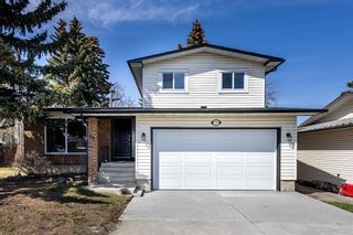 Main Photo: 19 Templeridge Place NE in Calgary: Temple Detached for sale : MLS®# A2046215